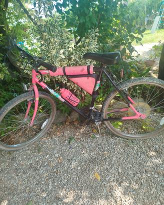 montanbike 