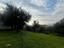 Immagine 23