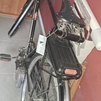 atala mosquito 38b