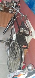 atala mosquito 38b