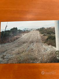 Interessante terreno polivalente