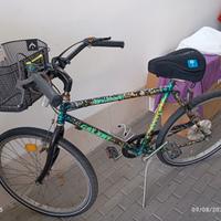 City bike