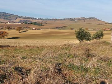 Borgo S.maria Tavullia Lotto edificabile prog appr