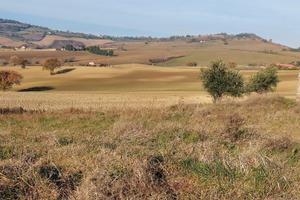 Borgo S.maria Tavullia Lotto edificabile prog appr