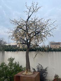 Albero luminoso pesco in fiore Lucent 280mt
