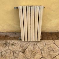 Termosifone in ghisa