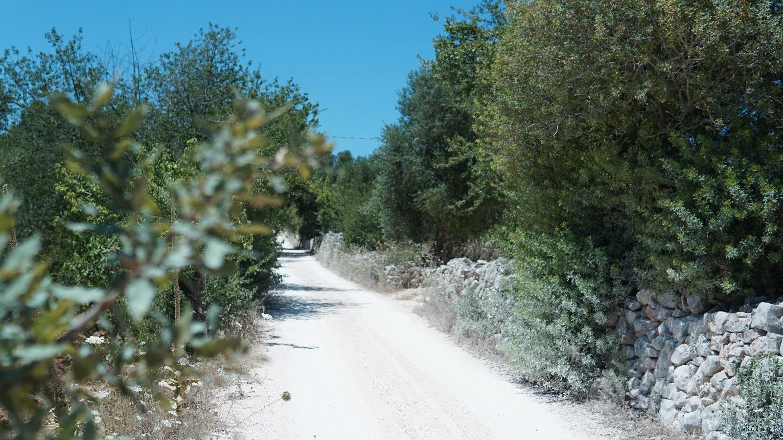 Trulli rustici - Vista 2