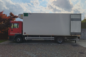 Camion frigo Man 14.255m furgone isotermico
