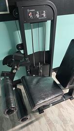 Seated Leg Extension / curl Elite Series