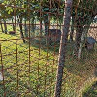 Pensione per cane
