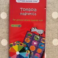tombola magnetica