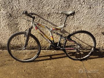 bicicletta