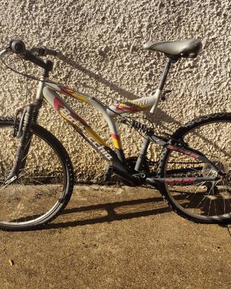 bicicletta