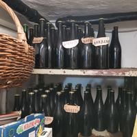 Vino barbera imbottigliato