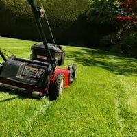 G i a r d i n i e r e