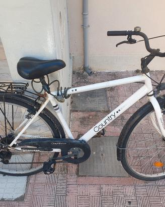 BICICLETTA DA UOMO 