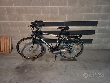 Bianchi Spillo Rubino 2017