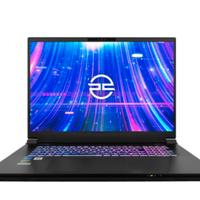 PC Specialist recoil 17 " rtx 4070 