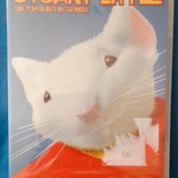 DVD originale del film Stuart Little