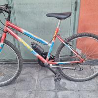 bici da donna