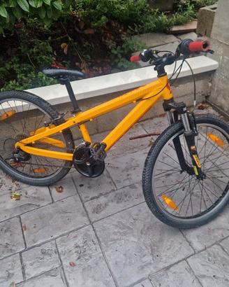 bici scotto 24
