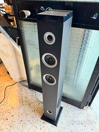 Cassa amplificata radio mp3 usb
