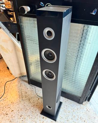 Cassa amplificata radio mp3 usb