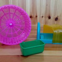 Accessori Gabbia per piccoli animali Nuovi