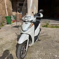 SH 300