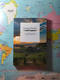 I Colli Euganei, G. Barbieri
