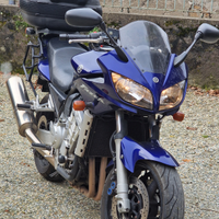 Yamaha FZS 1000 fazer 2006