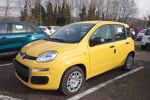 Fiat Panda PANDINA 1.0 65cv Hybrid ICON