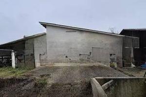 Immobile in asta di 823 m² a Zero Branco