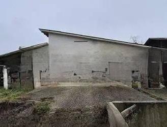 Immobile in asta di 823 m² a Zero Branco