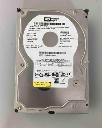 Hard Disk WD Caviar WD2500KS  250gb Serial ATA