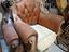 Immagine 1
