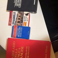 i seguenti dizionari