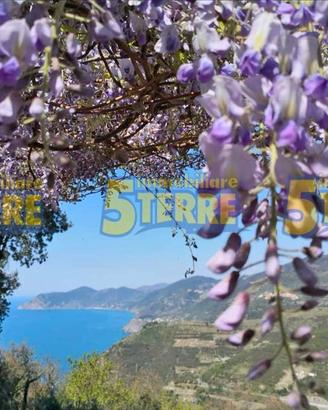 Rustico / Casale di 50 m² con 2 locali a Riomaggio