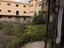 Immagine 9