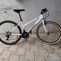 Mountain bike da donna/ragazza 26"