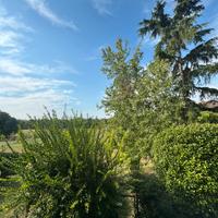 Villa a schiera ad angolo con ampio giardino