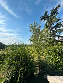 Villa a schiera ad angolo con ampio giardino