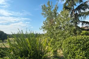 Villa a schiera ad angolo con ampio giardino