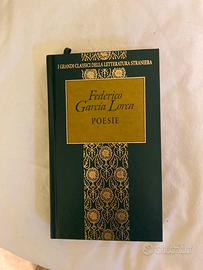 Federico garcia lorca