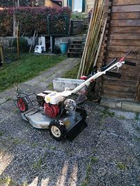 TRINCIAERBA   OREC SH50 MOTORE HONDA GX160 5.5CV -