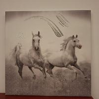 Quadro Canvas Cavalli