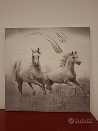 Quadro Canvas Cavalli