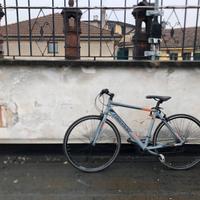 Bicicletta Torpado KCS ARWIN T370