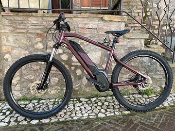 bicicletta pedalata assistita