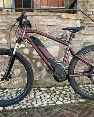 bicicletta pedalata assistita